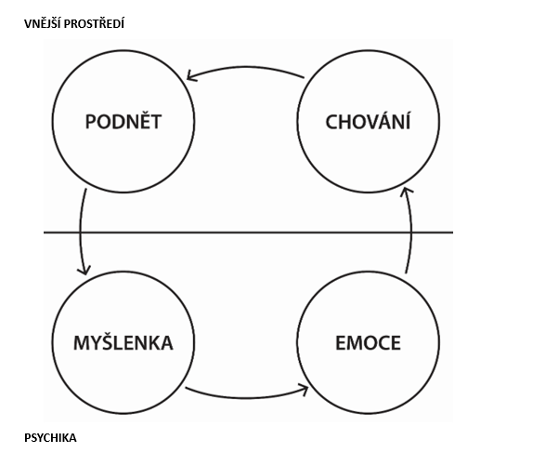 kognitivní schéma